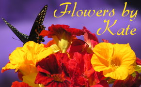 Flowers by Kate