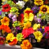 arrangement08