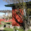 Image of the back yard and the kitty