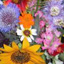 Image of a bouquet of fresh flowers