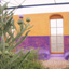 Image of the greenhouse wall