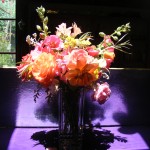 DSCF0009 DSCF0009