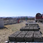 A beautiful site! Papercrete blocks drying in the sun