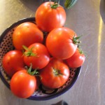 Tantalizing tomatoes