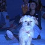 Bubbles the star of the rooftop Happy Hour