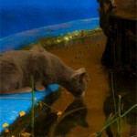 Cat at a Cool Blue Pool-by Alexa Walker -8" by 12" Photograph