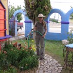 Kate watering her snapdragons