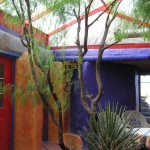 A Mesquite tree right in the garden. Not from this tree but we often cook with mesquite bean flour, a very sweet locally made treat.