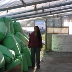 Pha ewwww! Got all of the recycled styrofoam put into the perlite bags! Reuse and reuse and reuse!